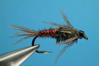 Pheasant tail nymph